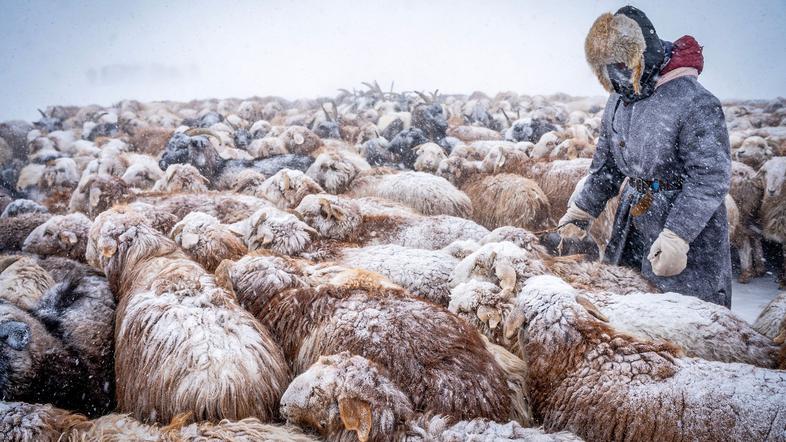 Mongolija, huda zima