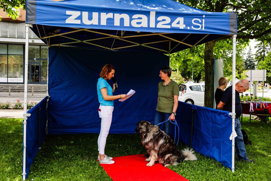 festival za ljubitelje živali | Avtor: Saša Despot