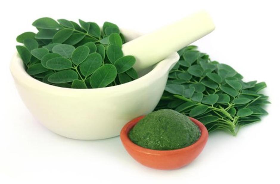 Moringa | Avtor: Profimedias