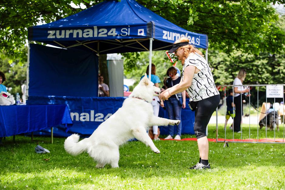 festival za ljubitelje živali | Avtor: Saša Despot