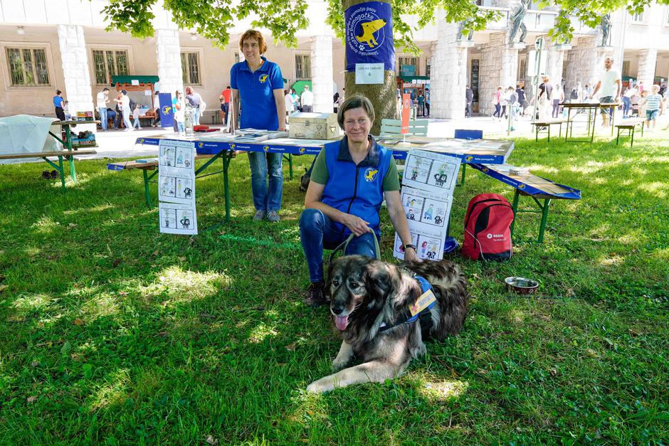 festival za ljubitelje živali | Avtor: Matija Janezic