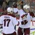 Calgary Flames : Phoenix Coyotes 3:4