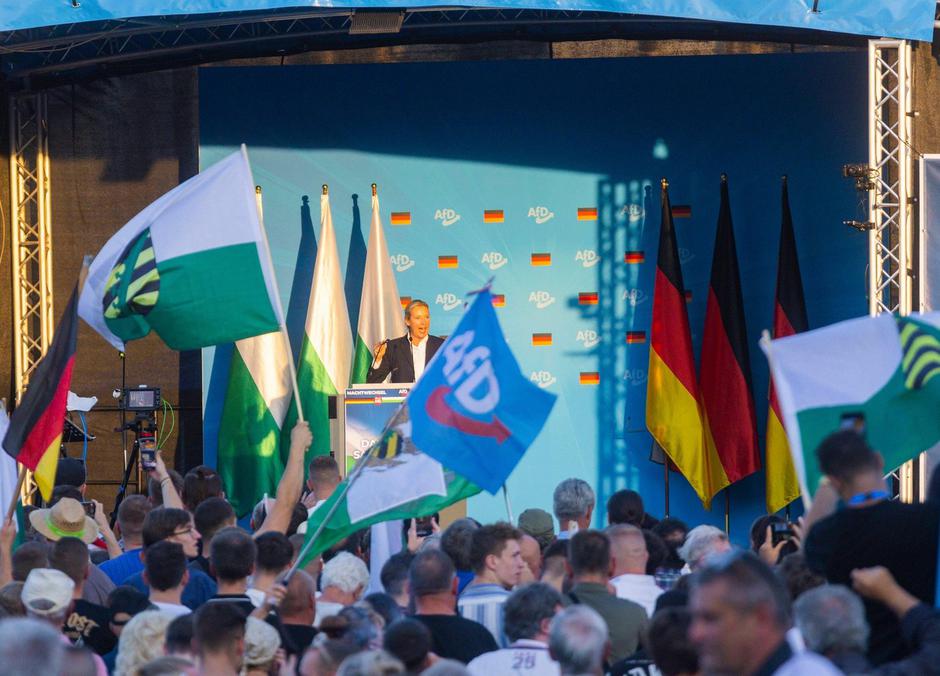 AfD Alternativa za Nemčijo | Avtor: Profimedia