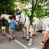 festival za ljubitelje živali