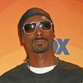 snoop_t_1310_fly