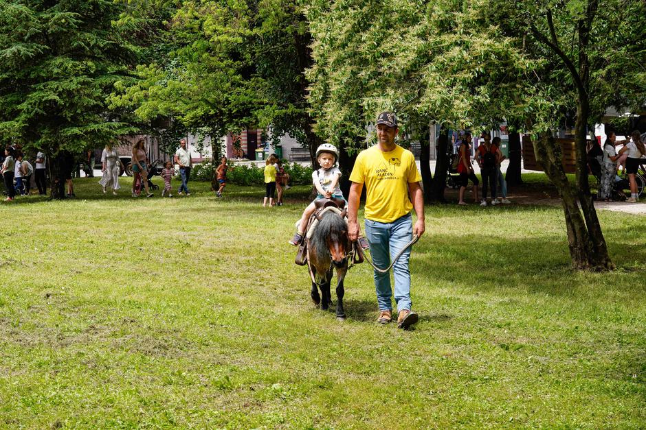 festival za ljubitelje živali | Avtor: Matija Janezic