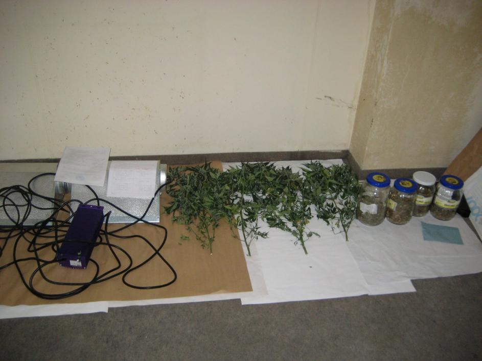 Pri preiskavi so pri Mariborčanu našli marihuano