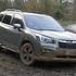 subaru forester, impreza, XV, blato