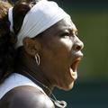 Serena Williams se je v polfinalu pridružila svoji sestri Venus.