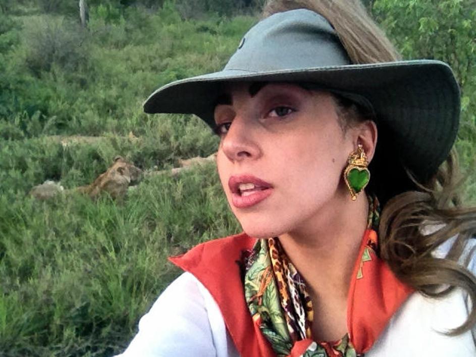 Lady Gaga, safari, levi