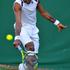 monfils