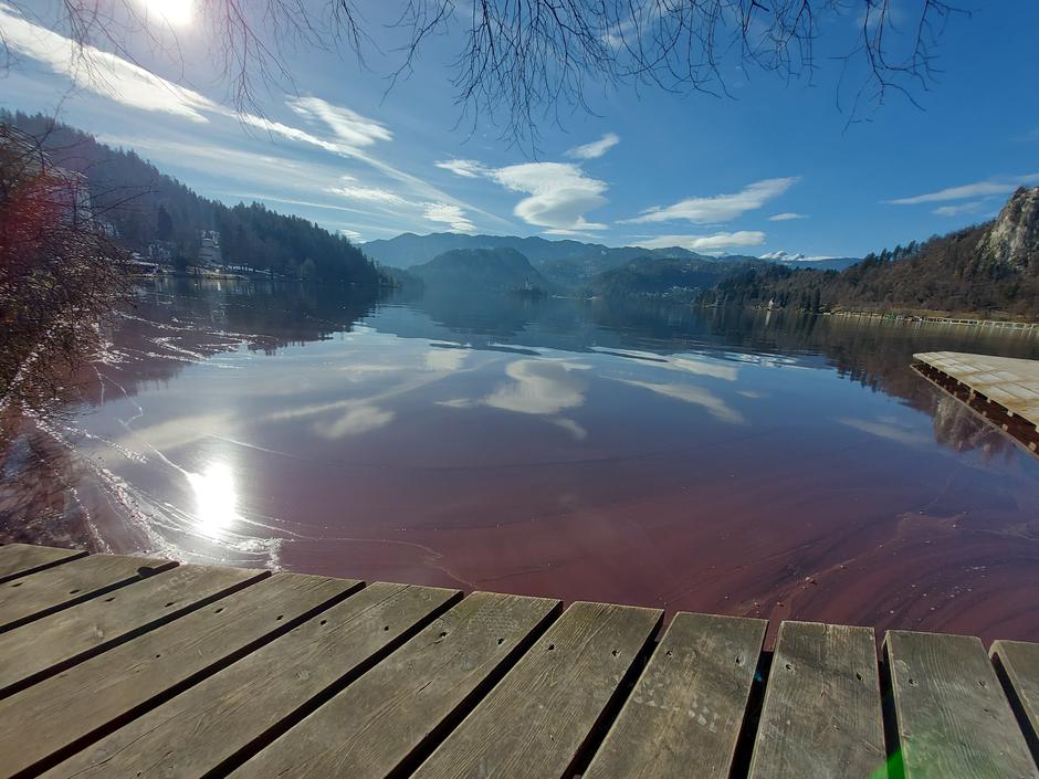 Bled, Blejsko jezero, cvetenje | Avtor: M. Ha.