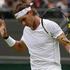 Darcis Nadal Wimbledon tenis OP Velike Britanije