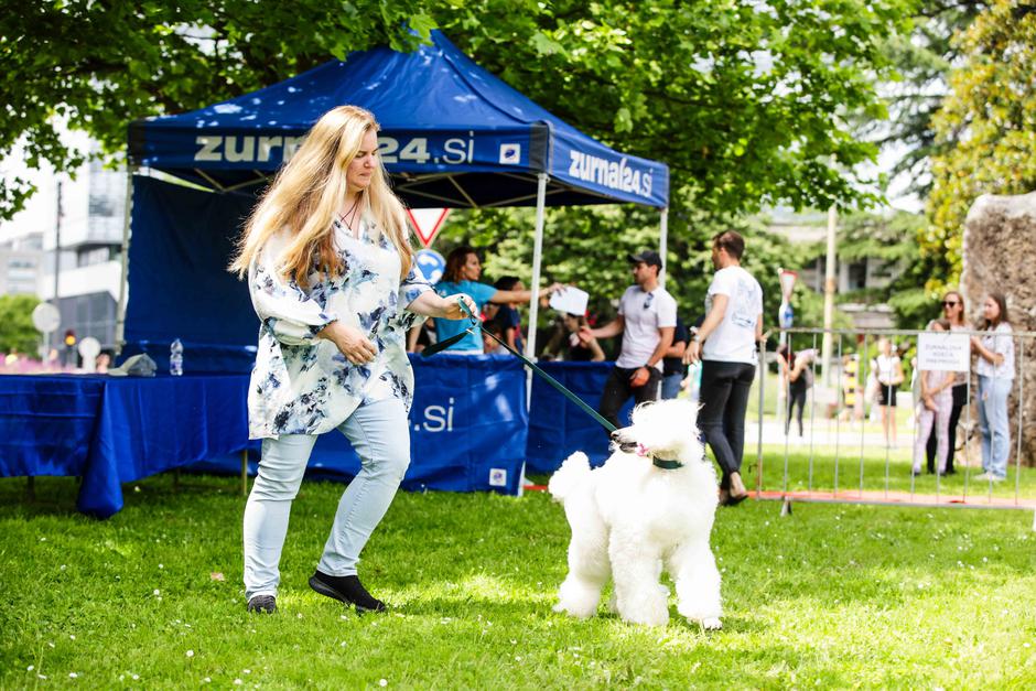 festival za ljubitelje živali | Avtor: Saša Despot