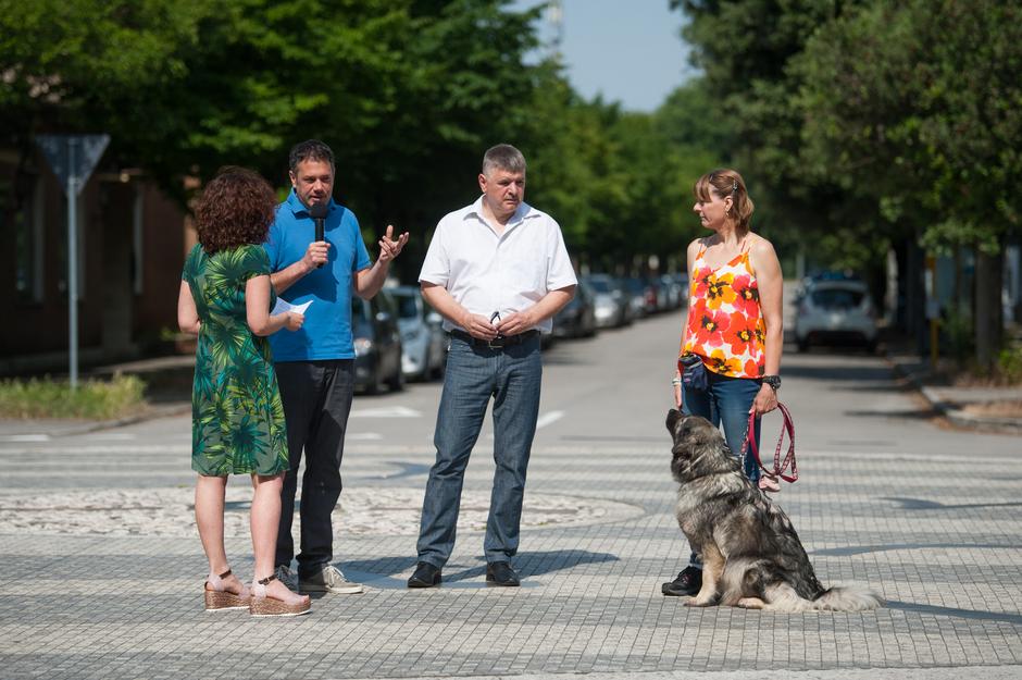Festival za ljubitelje živali v Novi Gorici | Avtor: Anže Petkovšek