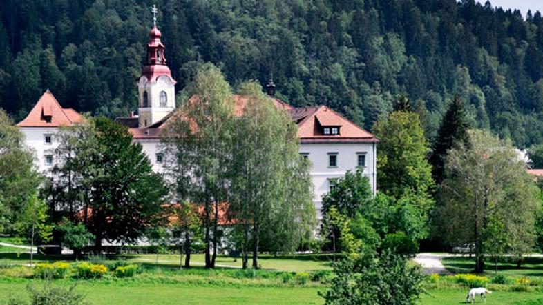 Psihiatrična bolnišnica Begunje