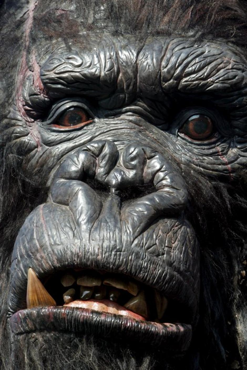 King Kong | Avtor: EPA