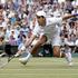 wimbledon polfinale djokovic tsonga 2011