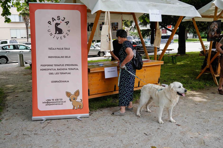 festival za ljubitelje živali | Avtor: Matija Janezic