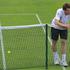 andy murray, wimbledon