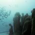 Silent Evolution, Jason deCaires Taylor, Cancun