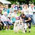 festival za ljubitelje živali