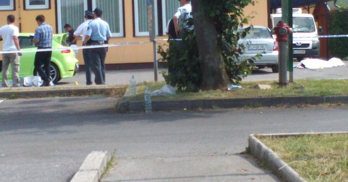 Zaradi Streljanja Nadzor Nad Delom Policistov - Žurnal24