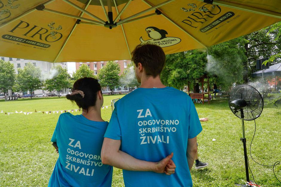 festival za ljubitelje živali | Avtor: Matija Janezic