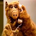 Alf