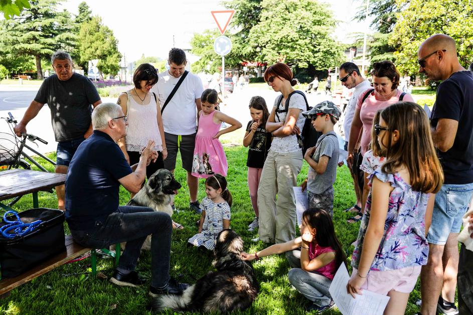 festival za ljubitelje živali