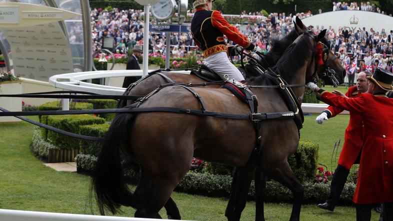 royal ascot