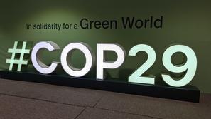 COP29