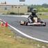 PRIMA karting