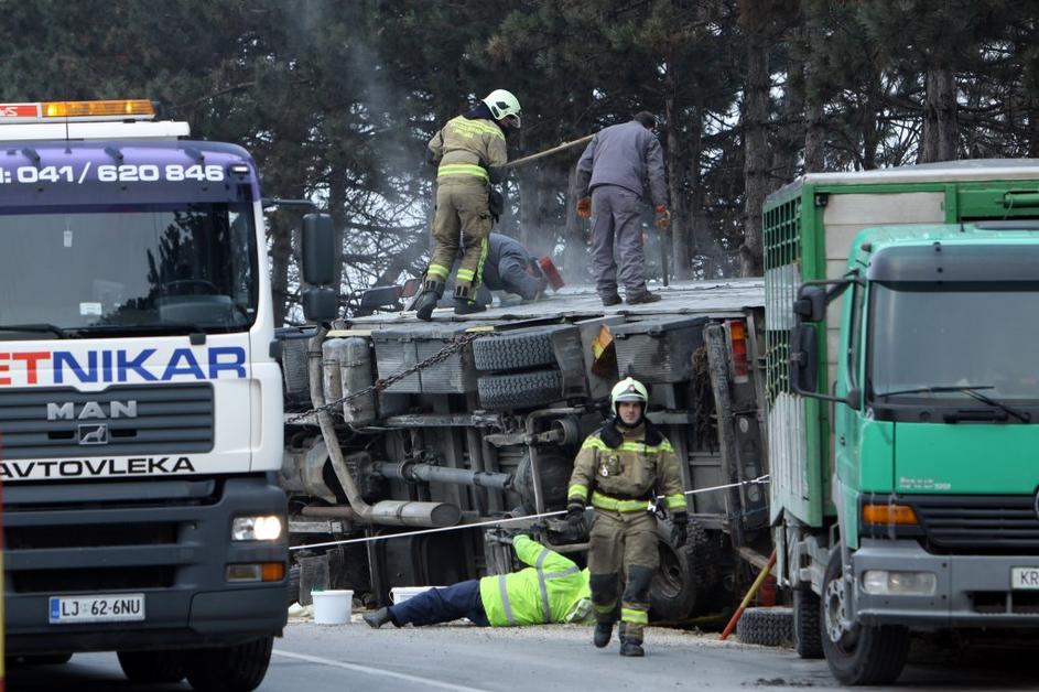 Nesreča tovornjaka z biki v Ljubljani