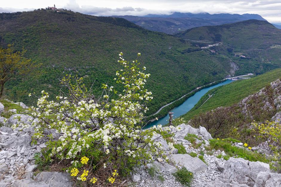 Soča s Sabotina | Avtor: Profimedia