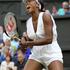 Venus Williams