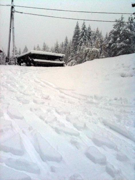 Sneg na Koroškem.