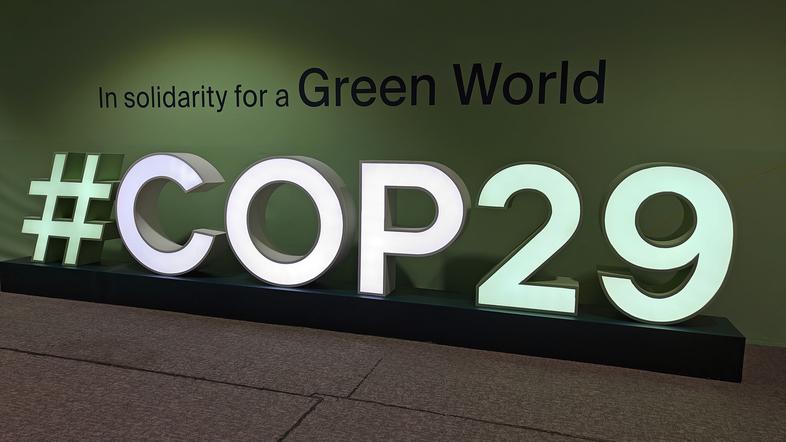 COP29