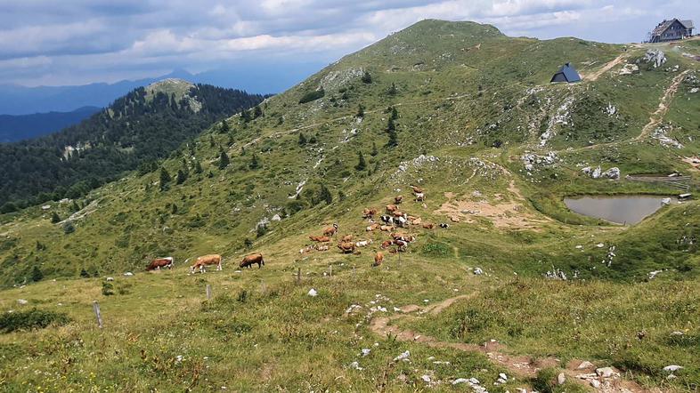 Ratitovec, Krekova koča na Ratitovcu