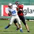 polfinale Cefl Ljubljana Silverhawks Budapest Wolves