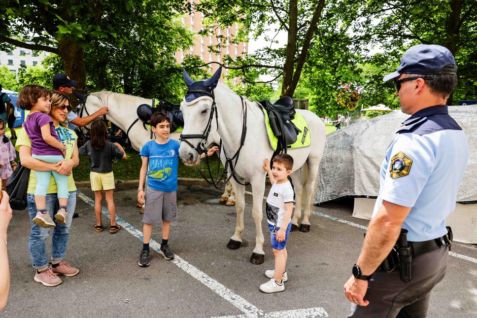 festival za ljubitelje živali | Avtor: Saša Despot