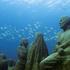 Silent Evolution, Jason deCaires Taylor, Cancun