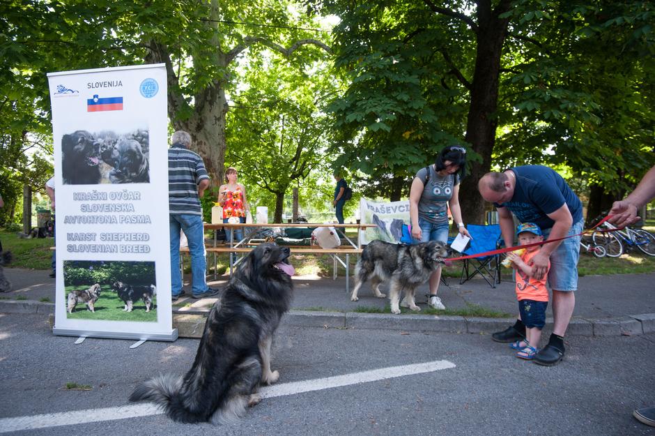 Festival za ljubitelje živali v Novi Gorici | Avtor: Anže Petkovšek