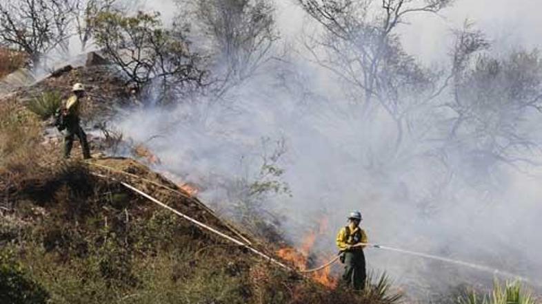 Požari so najhujši na območjih, kjer že dolgo ni gorelo, ponekod gozdnih požarov