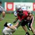 polfinale Cefl Ljubljana Silverhawks Budapest Wolves