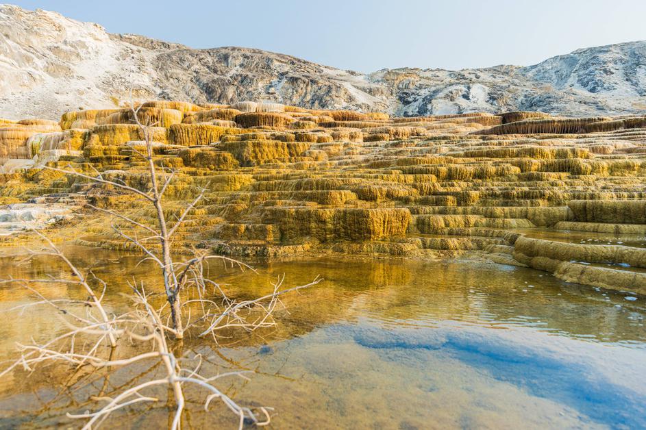 Yellowstone