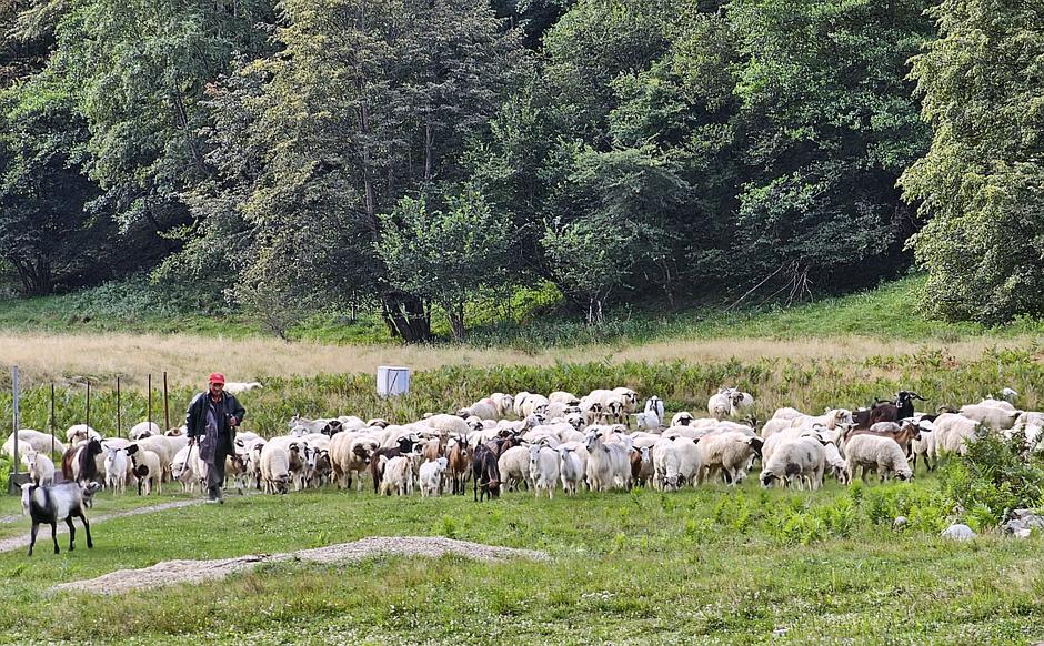 Romunija, potovanje z dacia dusterjam | Avtor: MatijaJanežič