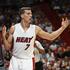 goran dragić miami heat