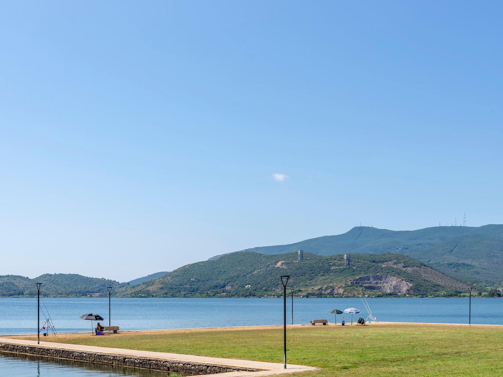 Orbetello invasa dai moscerini, ristoranti chiusi alle 21. L'allarme di  turisti e cittadini: Impossibile passeggiare o cenare all'aperto - la  Repubblica