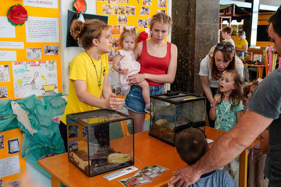 festival za ljubitelje živali | Avtor: Matija Janezic